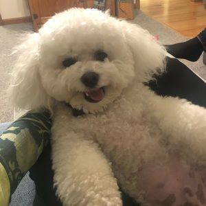 Meet your Posher, Sabrina